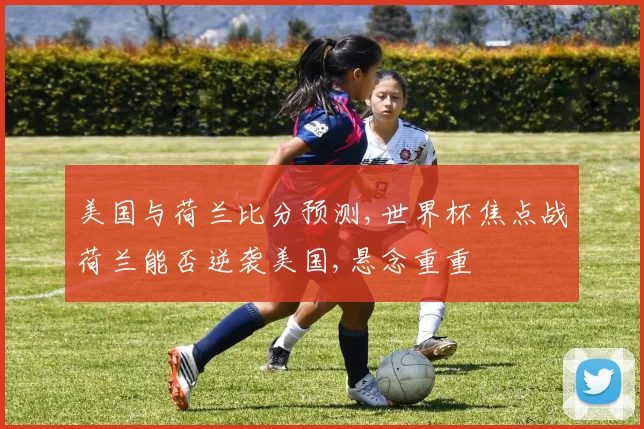 美国与荷兰比分预测,世界杯焦点战荷兰能否逆袭美国,悬念重重